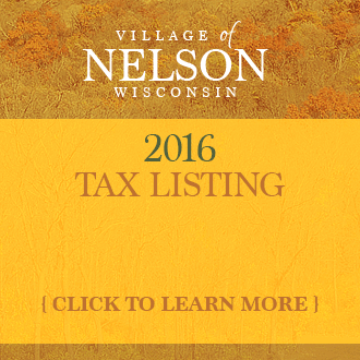 Village of Nelson Tax Listing